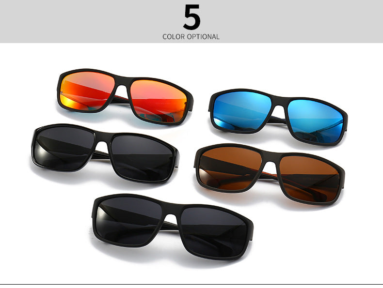 (6 Pack) Polarized Sunglasses 2240P