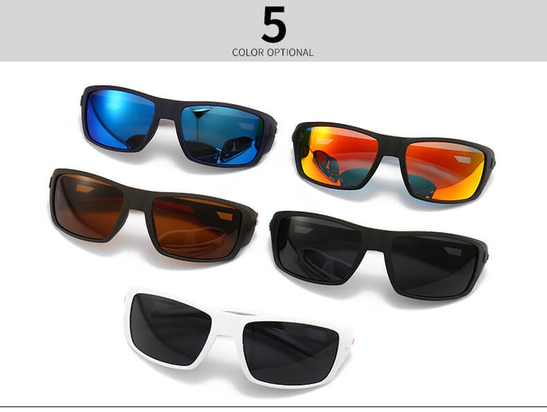 (6 Pack) Polarized Sunglasses 2239P