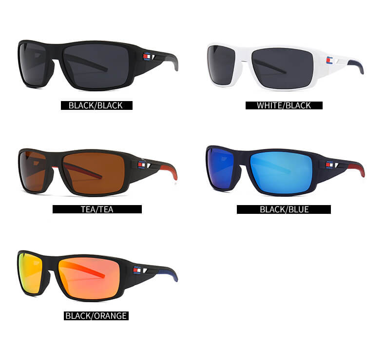 (6 Pack) Polarized Sunglasses 2239P