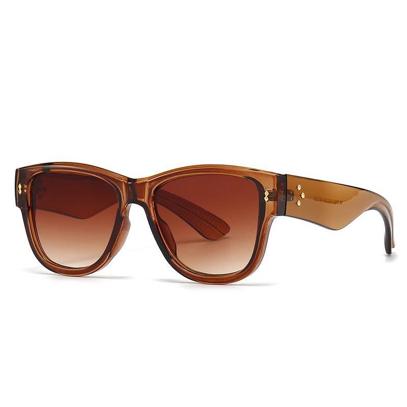 (6 Pack) Plastic Sunglasses 6005