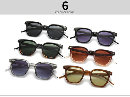 (6 Pack) Plastic Retro Sunglasses 6016