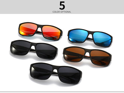 (6 Pack) Polarized Sunglasses 2240P