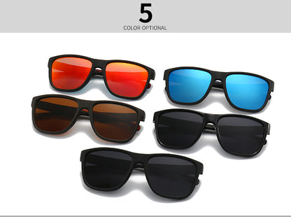 (6 Pack) Polarized Sunglasses 2238P