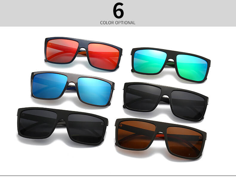 (6 Pack) Polarized Sunglasses 2230P