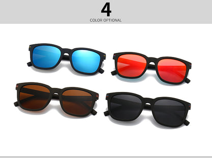 (6 Pack) Polarized Sunglasses 2225P