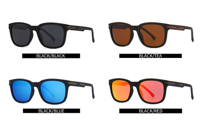 (6 Pack) Polarized Sunglasses 2225P