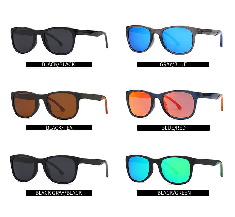 (6 Pack) Polarized Sunglasses 2231P