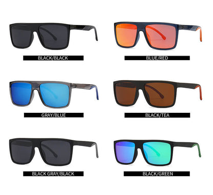 (6 Pack) Polarized Sunglasses 2230P