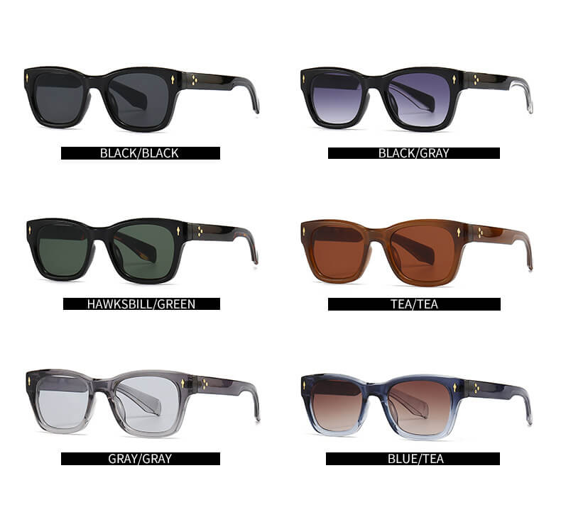 (6 Pack) Plastic Sunglasses 6039