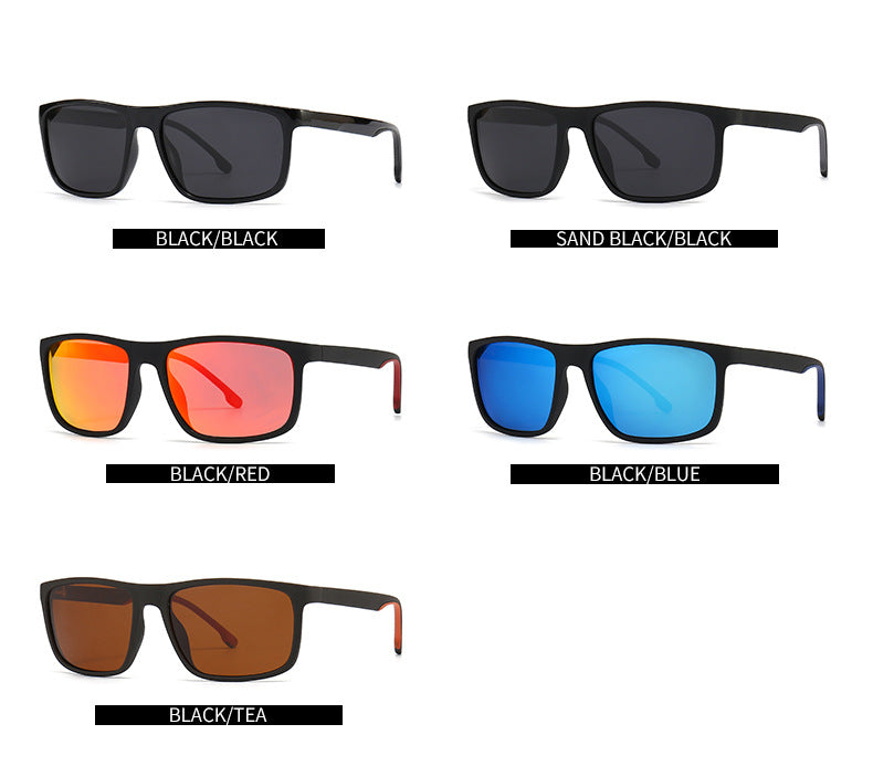 (6 Pack) Polarized Sunglasses 2218P