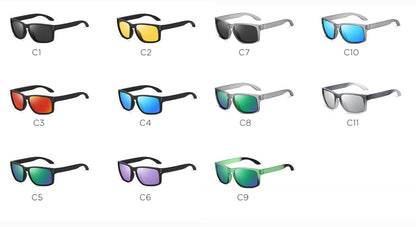 3056P Polarized Sunglasses