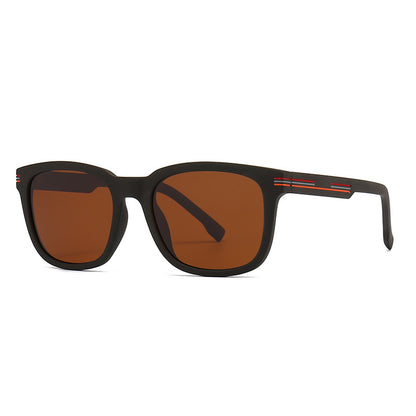 (6 Pack) Polarized Sunglasses 2225P