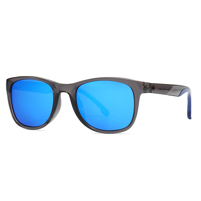 (6 Pack) Polarized Sunglasses 2231P