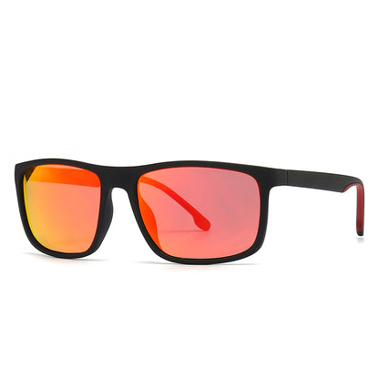 (6 Pack) Polarized Sunglasses 2218P