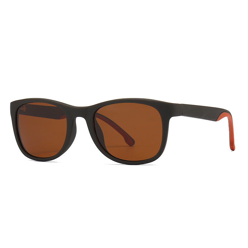 (6 Pack) Polarized Sunglasses 2231P