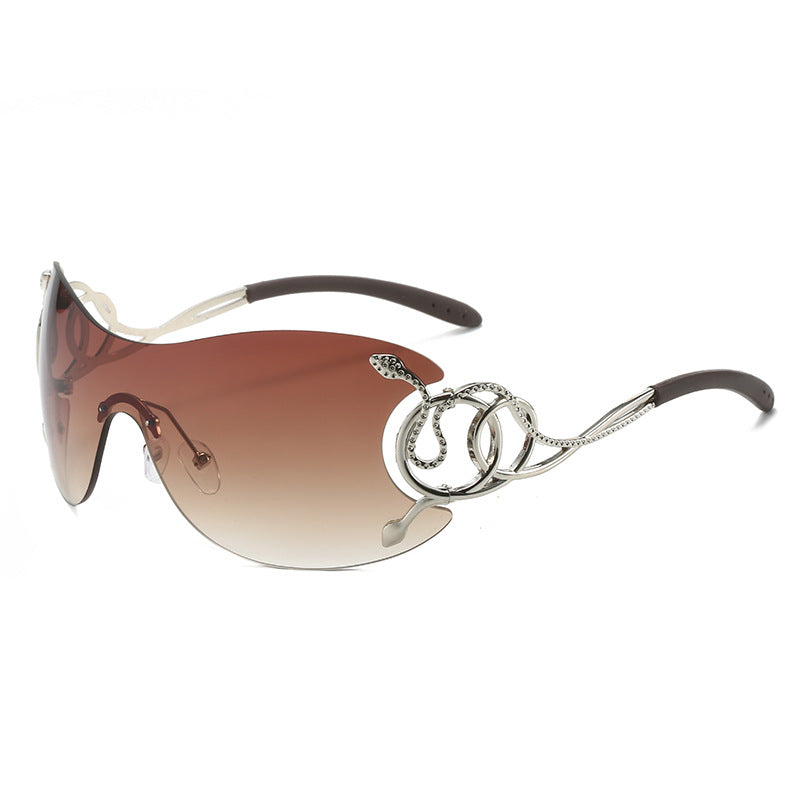 (6 Pack) Y2K Around Snake Sunglasses 239508