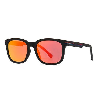 (6 Pack) Polarized Sunglasses 2225P