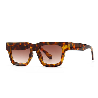 (6 Pack)Plasitc Square Sunglasses 949