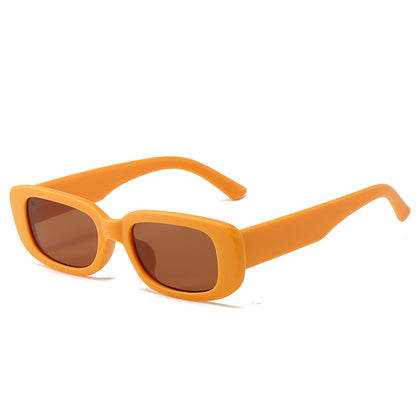 (6 Pack) Oval Plastic Sunglasses 9071