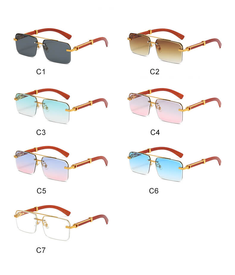 (6 Pack) Luxury Frames Sunglasses 6041